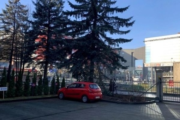 Lokal Bielsko biała 18