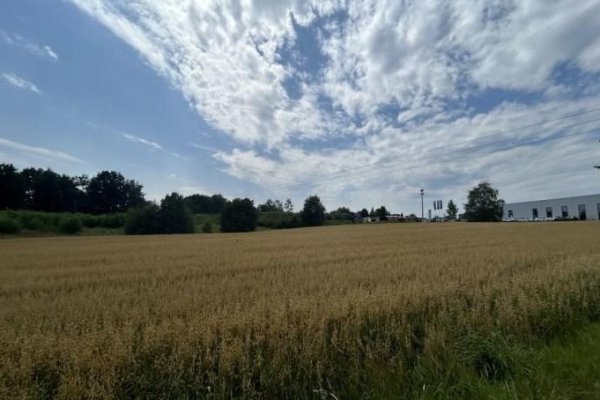 komorowice-slaskie-52-13
