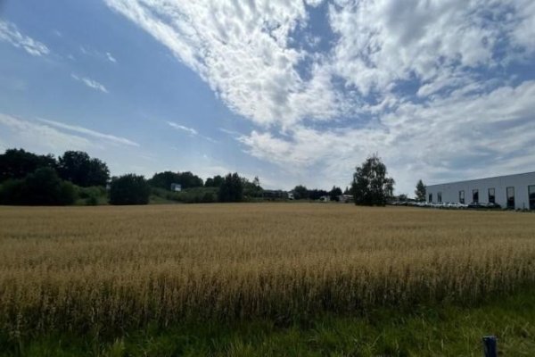 komorowice-slaskie-52-14