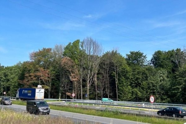 komorowice-slaskie-52-07