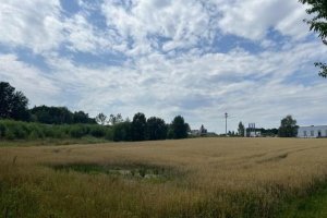 komorowice-slaskie-52-01